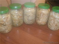 Грузди солёные.Очень вкусные. Урожай 2011 года - Изображение #3, Объявление #376983