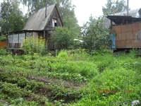 Продам дачу Колягино - Изображение #3, Объявление #390666