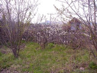 Продам дачу на Кузнецовском плато, 180 т.р. - Изображение #4, Объявление #667543