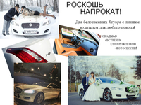 Белоснежные Ягуары - Изображение #1, Объявление #1295637