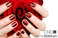 Шеллак. Shellac. Гель лак для ногтей - Изображение #3, Объявление #1288298