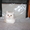 продается британский котенок - Изображение #1, Объявление #181151