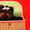 йоркширского терьера щенки миники и стандарт - Изображение #3, Объявление #269516