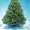 Новогодняя живая елка(Ёлка,  ель,  пихта) #478514