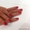 SHELLAC. Наращивание ногте - Изображение #5, Объявление #521240
