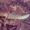 Продам Кизлярский нож #632582