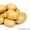 продам картофель семенной оптом от сельхозпроизводителя - Изображение #2, Объявление #617839