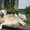 Шикарные щенки золотистого ретривера - Изображение #4, Объявление #701516
