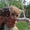 Подарю котят-очаровашек - Изображение #1, Объявление #750366