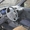 Toyota Cami J100G левый руль 4 WD #781554