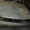 Toyota corolla на запчасти - Изображение #3, Объявление #829825