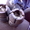 КУплю буровой инструмент шарошечные долота коронки пневмоударники - Изображение #3, Объявление #1127592
