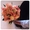Академия цветочного этикета, Цветы, Букеты, Оформление торжеств и мероприятий - Изображение #9, Объявление #1179474