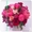 Академия цветочного этикета, Цветы, Букеты, Оформление торжеств и мероприятий - Изображение #5, Объявление #1179474