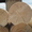 Оцилиндрованное бревно ангарская лиственница - Изображение #2, Объявление #1237282