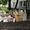 Уборка Города.вывоз мусора отходов,снега - Изображение #5, Объявление #1233920