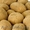 Семенной картофель из Беларуси в Красноярске #1496700