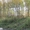 Участок 20 соток в п.Минино, с лесом - Изображение #3, Объявление #1497947
