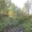 Участок 20 соток в п.Минино, с лесом - Изображение #4, Объявление #1497947