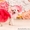 Дед Мороз и Снегурочка с дрессированной собачкой.Красноярск - Изображение #5, Объявление #1596308