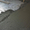 Бетонные полы, шлифовка бетона,обеспыливание,армирование,полировка бетона,планир - Изображение #2, Объявление #1643038