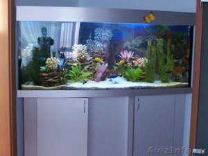 Изготовление аквариумов под заказ - Изображение #1, Объявление #456221
