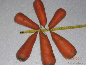 продам овощи, картофель - Изображение #3, Объявление #451898