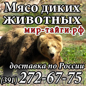 Продам мясо медведя - Изображение #1, Объявление #510743