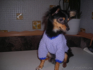 Вязаная одежда для собак - Изображение #2, Объявление #521577