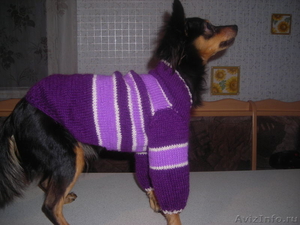 Вязаная одежда для собак - Изображение #4, Объявление #521577