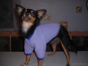 Вязаная одежда для собак - Изображение #3, Объявление #521577