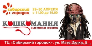 Выставка КОШЕК 29-30 апреля в ТК Сибирский городок Мате Залки 5 - Изображение #1, Объявление #632740