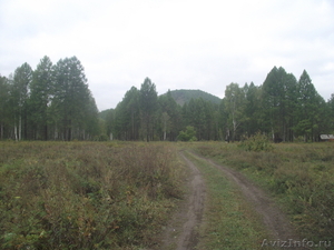 Продам земельный участок в Ермаковском районе в 18 км. от села Верхнеусинское. - Изображение #2, Объявление #860949