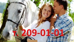 Уроки верховой езды на лошади в Красноярске - Изображение #1, Объявление #920500