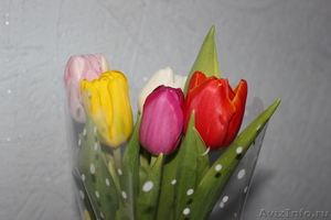 Голландские тюльпаны оптом - Изображение #4, Объявление #1027556