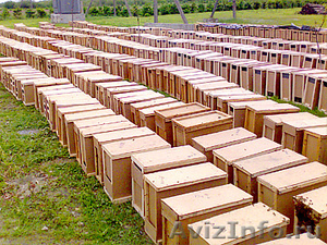 Пчелопакеты карпатка в Абакане доставка бесплатно - Изображение #3, Объявление #1210062