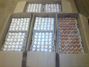 Яйцо куриное оптом, гост 31654-2012 - Изображение #1, Объявление #1371898