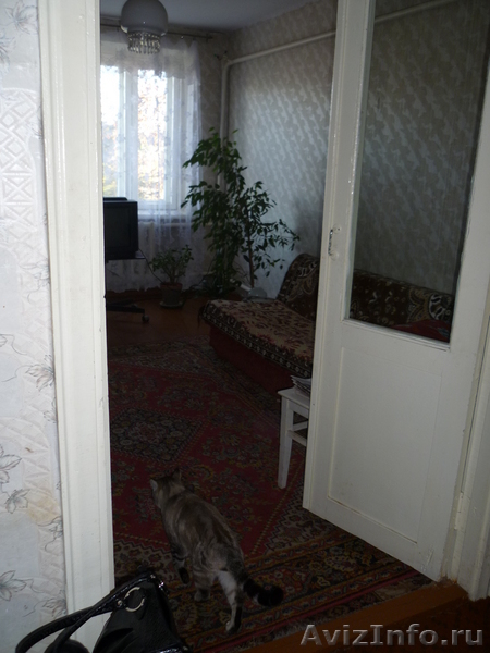 Загородный благоустроенный дом - Изображение #2, Объявление #103162