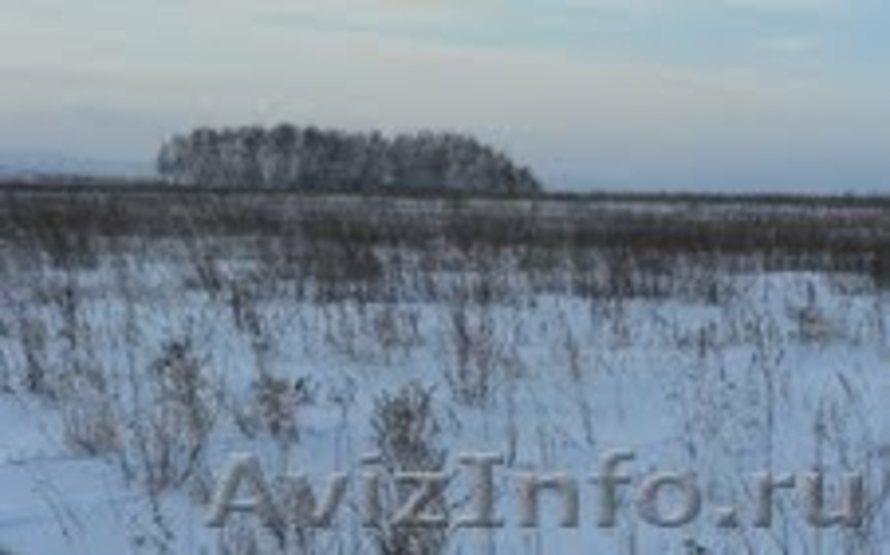 продам или сдам в долгосрочную аренду - Изображение #2, Объявление #256489
