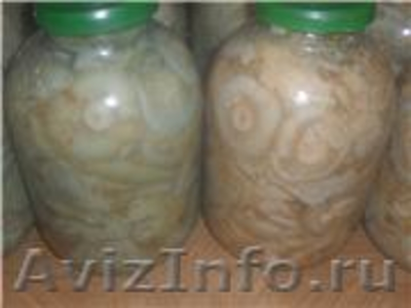 Грузди солёные.Очень вкусные. Урожай 2011 года - Изображение #2, Объявление #376983
