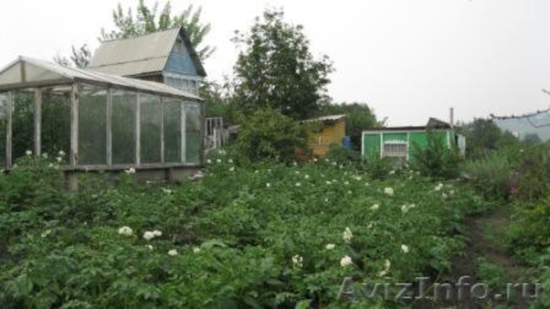 Продам ухоженную дачу - Изображение #2, Объявление #722873