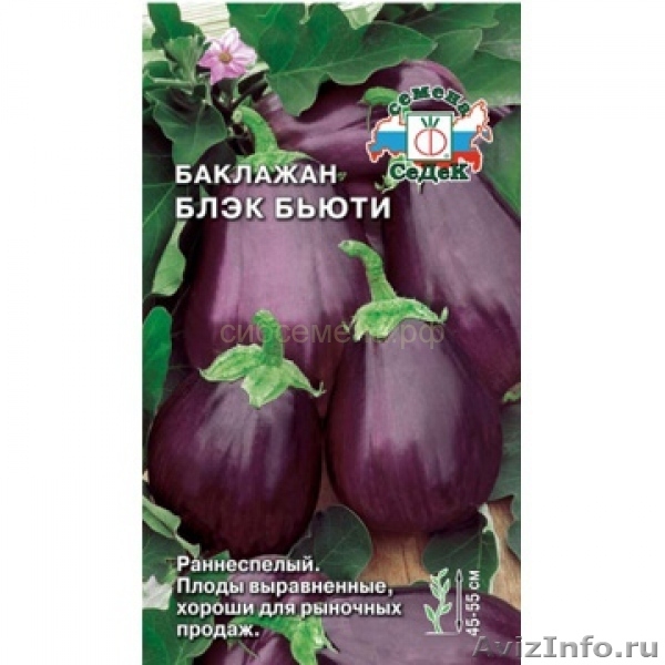 Продаем семена баклажан - Изображение #2, Объявление #1365623